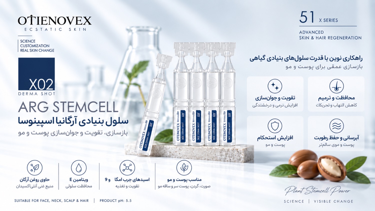 درماشات آرگانیا اسپینوسا