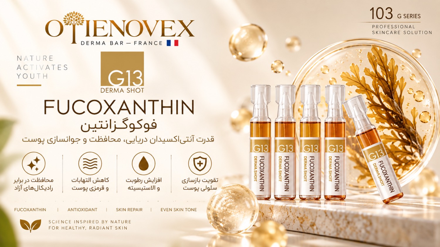 درماشات فوکوگزانتین